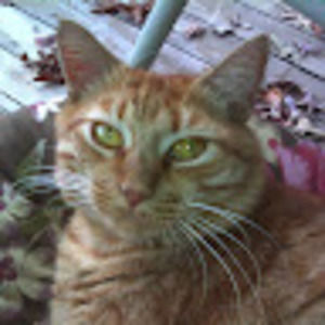 Meet your Posher, Kayte